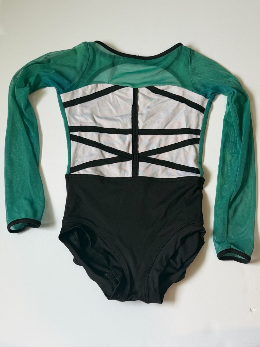 Tiger Friday AXS leotard